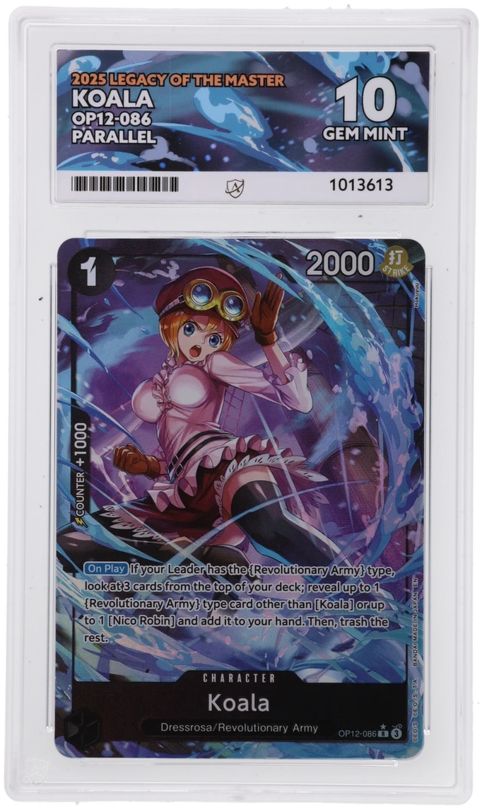 CC - ACE 10 - Koala OP12-086 - 1013613