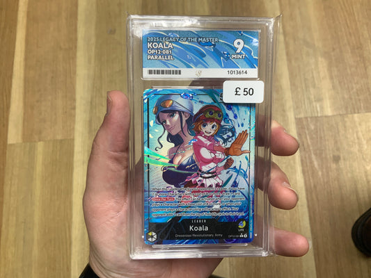 CC - Ace 9 - Koala Op12-081 - 1013614 - One Piece Cards