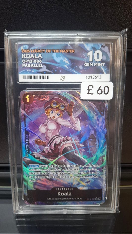 CC - ACE 10 - Koala OP12-086 - 1013613